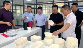 Активно вивчайте нові екологічні захист нових матеріалів